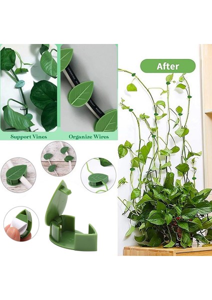 10 Adet Bitki Tırmanma Duvarı Armatürü Rattan Asma Braketi Sabit Toka Klipler Tutucu Karşılaşma (Yurt Dışından) fırsatları