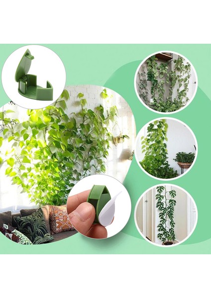 10 Adet Bitki Tırmanma Duvarı Armatürü Rattan Asma Braketi Sabit Toka Klipler Tutucu Karşılaşma (Yurt Dışından) indirimleri
