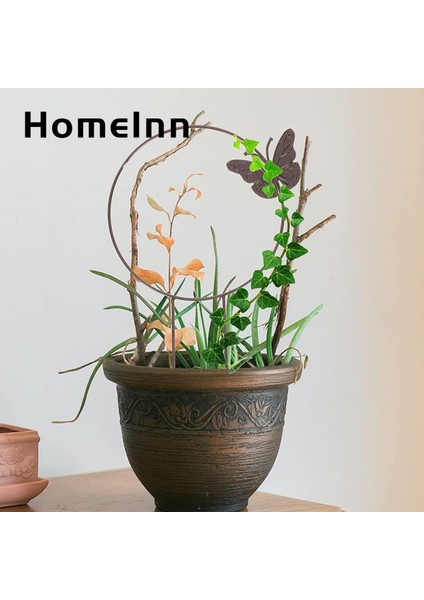 Homeınn Bitki Tırmanma Kafes Desteği Kararlı Aşk Kalp Şekli Yuvarlak Ücretsiz Asma Metal Destek (Yurt Dışından)