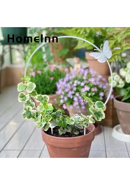 Homeınn Bitki Tırmanma Kafes Desteği Kararlı Aşk Kalp Şekli Yuvarlak Ücretsiz Asma Metal Destek (Yurt Dışından)