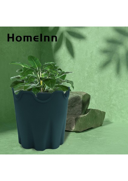 Homeınn Saksı Geniş Uygulama Modern Ofis Etli Saksı (Yurt Dışından) modelleri
