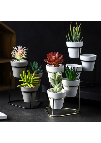 Bonsai Standı-3 x Saksı 1 x Saksı Tutucu-Beyaz (Yurt Dışından)