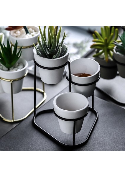 Bonsai Standı-3 x Saksı 1 x Saksı Tutucu-Beyaz (Yurt Dışından)