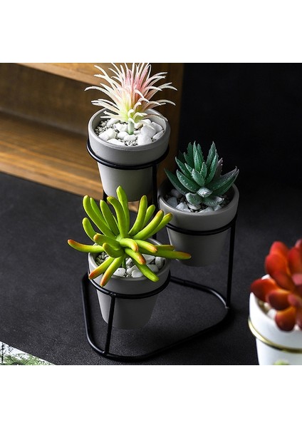 Bonsai Standı-3 x Saksı 1 x Saksı Tutucu-Beyaz (Yurt Dışından)