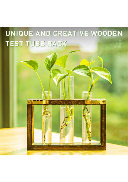 Hidroponik Teraryum-1 x Ahşap Çerçeve 1 x Iz Bırakmayan Duvar Kancası-Ahşap Kahverengi (Yurt Dışından)