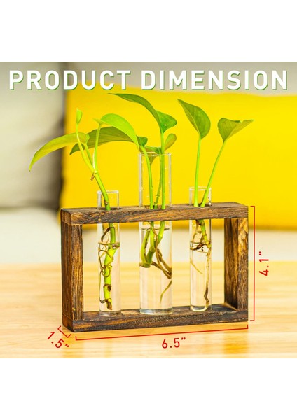 Hidroponik Teraryum-1 x Ahşap Çerçeve 1 x Iz Bırakmayan Duvar Kancası-Ahşap Kahverengi (Yurt Dışından) fiyatları