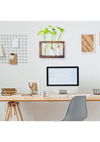 Hidroponik Teraryum-1 x Ahşap Çerçeve 1 x Iz Bırakmayan Duvar Kancası-Ahşap Kahverengi (Yurt Dışından) fırsatları