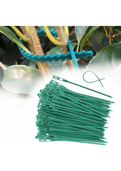 50/100 Adet Yeniden Kullanılabilir Plastik Bitki Destek Klipleri Kelepçeler Bitkiler Asılı Asma Bahçe Karşılaşması (Yurt Dışından)