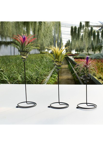 Adet Metal Hava Ananas Standı Taban Bitki Çiçek Raf Tutucu Ev Balkon Dekor Podazz (Yurt Dışından)