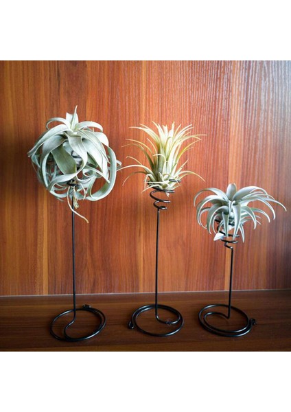 Adet Metal Hava Ananas Standı Taban Bitki Çiçek Raf Tutucu Ev Balkon Dekor Podazz (Yurt Dışından)