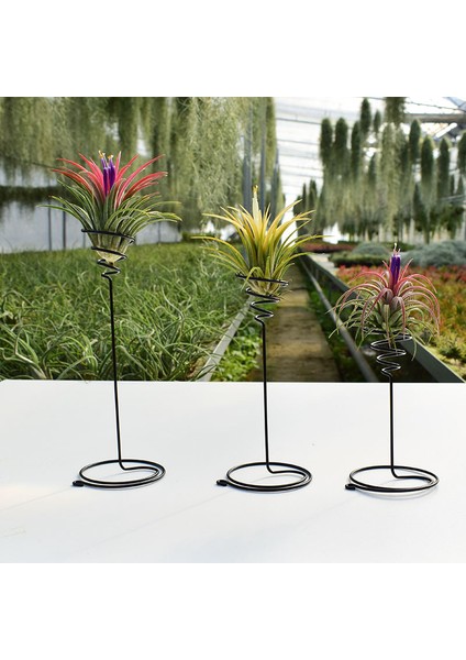 Adet Metal Hava Ananas Standı Taban Bitki Çiçek Raf Tutucu Ev Balkon Dekor Podazz (Yurt Dışından)
