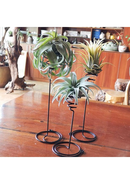 Adet Metal Hava Ananas Standı Taban Bitki Çiçek Raf Tutucu Ev Balkon Dekor Podazz (Yurt Dışından)