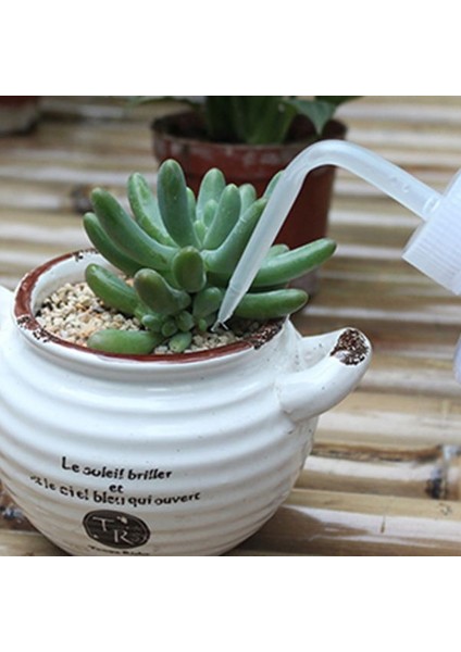 250 ml Su Gagası Dökme Su Isıtıcısı Aracı Succulents Bitki Çiçek Sıkma Şişeleri Karşılaşma (Yurt Dışından)