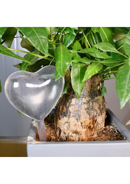 Su Houseplant Bitki Pot Aşk Otomatik Sulama Cihazı Bahçe Aletleri Podazz (Yurt Dışından)