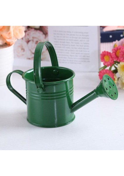 1 Adet Mini Yağmurlama Ev Bahçe Kapalı Vintage Çiçek Metal Sulama Demir Pott Podazz (Yurt Dışından) fiyatları