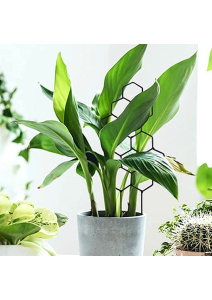 Bitki Rafı Hava Koşullarına Dayanıklı Keskin Kenarlar Yok Çiçek Bitki Tırmanma Kafes Rafı (Yurt Dışından) fiyatları