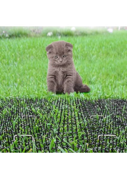 13X49CM Bahçe Dikenli Şerit Kazma Anti-Kedi Köpek Açık Bahçe Malzemeleri (Yurt Dışından) fırsatları