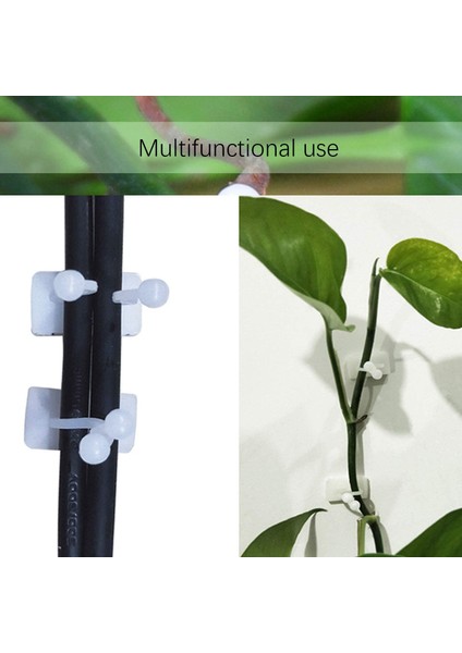 Asma Klipsi-80 * Bitki Tırmanma Duvarı Sabitleme Klipsi-Beyaz (Yurt Dışından) indirimleri