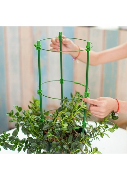 Adet Tırmanma Asma Rafı Bitki Destek Kafesleri 3 Ayarlanabilir Halka ile Bahçe Balkon Bitki Çiçek Kafes 60CM (Yurt Dışından)