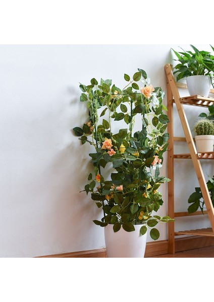 Adet Tırmanma Asma Rafı Bitki Destek Kafesleri 3 Ayarlanabilir Halka ile Bahçe Balkon Bitki Çiçek Kafes 60CM (Yurt Dışından) fırsatları