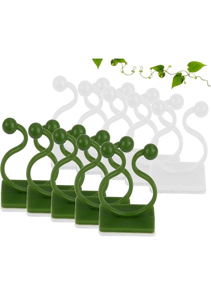 160 Adet Bitki Tırmanma Duvarı Fikstür Klipleri, Kendinden Yapışkanlı Kanca ile Duvar Bitki Tutucu Asma Bitki Tırmanma Duvarı Sabitleyici (Yurt Dışından) fırsatları