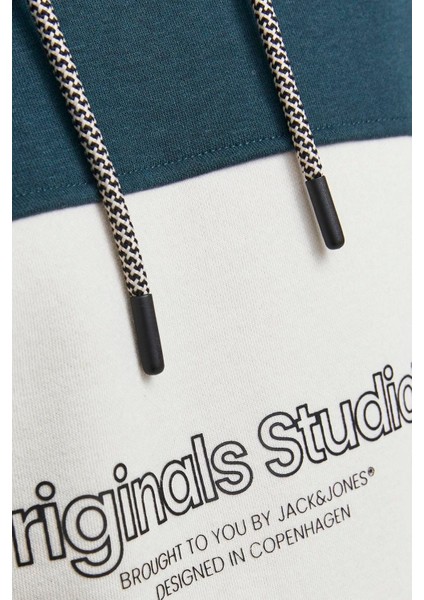 Erkek Sweatshirts 12246802 12246802004 fırsatları