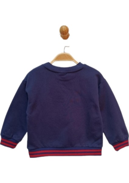 Lisanslı Erkek Çocuk Sweatshırt 220411 fiyatları