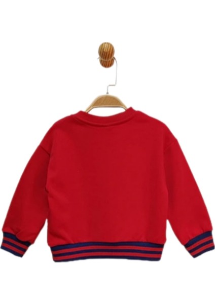 Lisanslı Erkek Çocuk Sweatshırt 220411 fiyatları