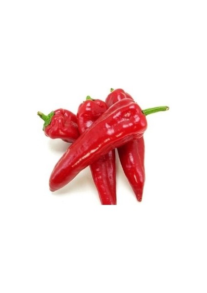 250 Adet Tohum Paket Adana Karaisalı Hafif Acı Ata Tohum fiyatları