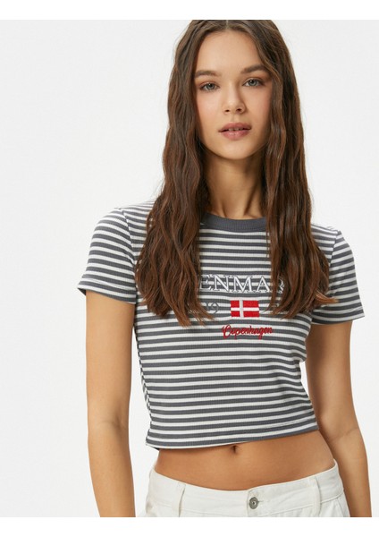 Crop Tişört Ribanalı Slim Fit Işleme Detaylı Kısa Kollu Bisiklet Yaka