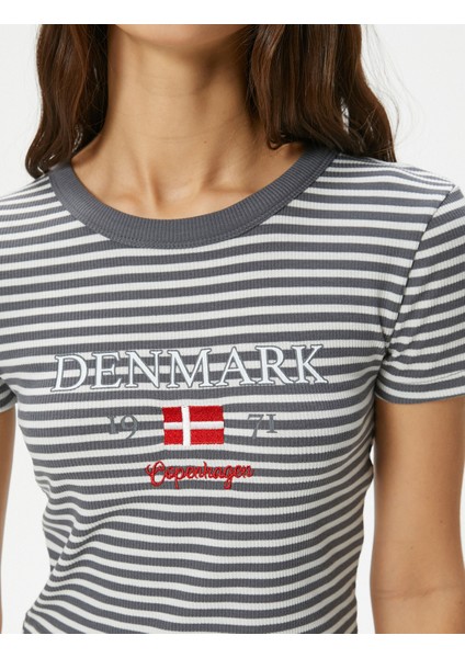 Crop Tişört Ribanalı Slim Fit Işleme Detaylı Kısa Kollu Bisiklet Yaka