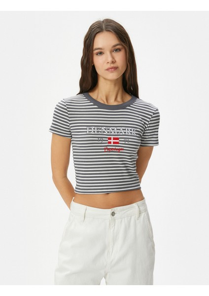 Crop Tişört Ribanalı Slim Fit Işleme Detaylı Kısa Kollu Bisiklet Yaka