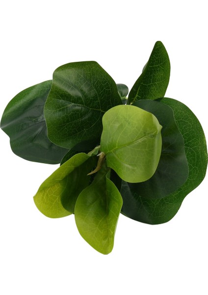 4x Küçük Yapay Keman Yaprak Ağacı 11 Inç Sahte Ficus Lyrata Ağacı Ev Düğün Için Kapalı ve Açık Dekorasyon (Yurt Dışından) fırsatları