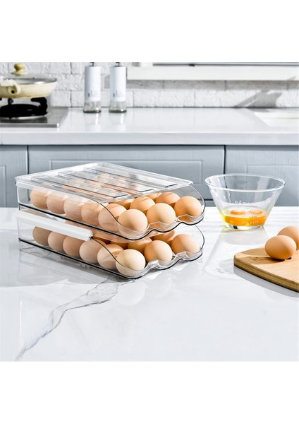 Buzdolabı Için 2 Katmanlı Yumurta Tutucu Yumurta Saklama Kabı, Buzdolabı Için Rampa Tipi Otomatik Rulo Yumurta Organizatör (Yurt Dışından) fiyatları
