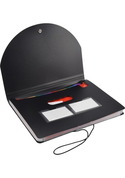 Belge Düzenleyici 13 Cepli Genişleyen Klasör Örgü Çanta ve Renkli Etiket 13 Aylık Fatura Makbuz Düzenleyici A4 Boyutu (Yurt Dışından) indirimleri