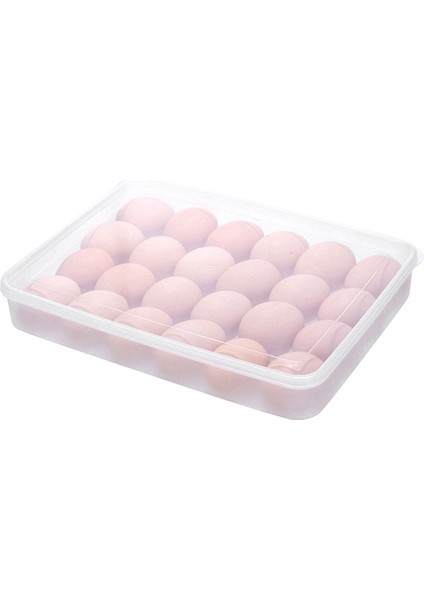 Kolaylıkla Mükemmel Baharatlı Yumurta, Kapaklı 48 Yumurta Tutabilen 2 Şeffaf Yumurta Kabı, Kolay Taşıma, Bulaşık Makinesinde Yıkanabilir Taşıyıcı, Istiflenebilir (Yurt Dışından)