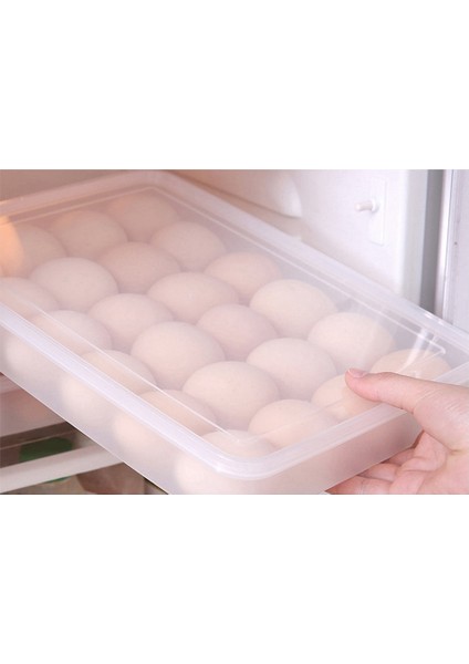 Kolaylıkla Mükemmel Baharatlı Yumurta, Kapaklı 48 Yumurta Tutabilen 2 Şeffaf Yumurta Kabı, Kolay Taşıma, Bulaşık Makinesinde Yıkanabilir Taşıyıcı, Istiflenebilir (Yurt Dışından)
