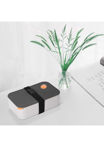 2x Öğle Yemeği Kutusu 1000ML, 2 Bölmeli, Çevre Dostu Bpa Içermeyen Bento Kutusu, Hermetik Yiyecek Kutusu, (Turuncu) (Yurt Dışından) modelleri