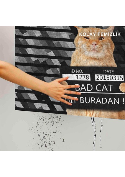 Kedi Köpek Komik Tasarımlı Dekoratif Kapı Önü Paspas, Dış Mekan/ev Içi/banyo/mutfak/yatak Odası/giriş Paspasları