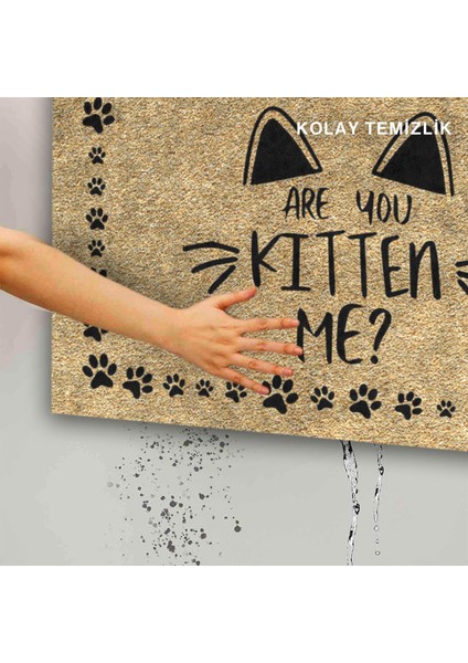 Kedi Köpek Komik Tasarımlı Dekoratif Kapı Önü Paspas, Dış Mekan/ev Içi/banyo/mutfak/yatak Odası/giriş Paspasları