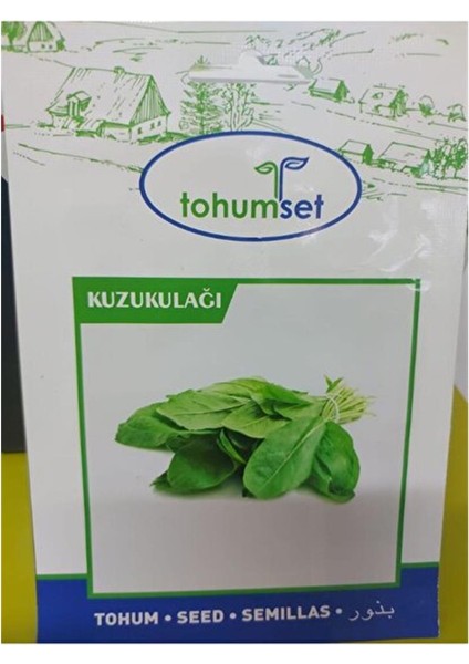 Anto Tarım Kuzu Kulağı Tohumu 5 Gr