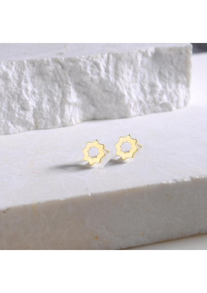 14 Ayar Altın Sade Çark Küpe