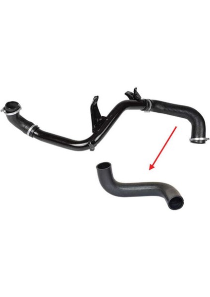 19948 19948 Turbo Hortumu Cmax Focus Iı 04- 1.6 Tdcı Büyük Metal Boru Harıç