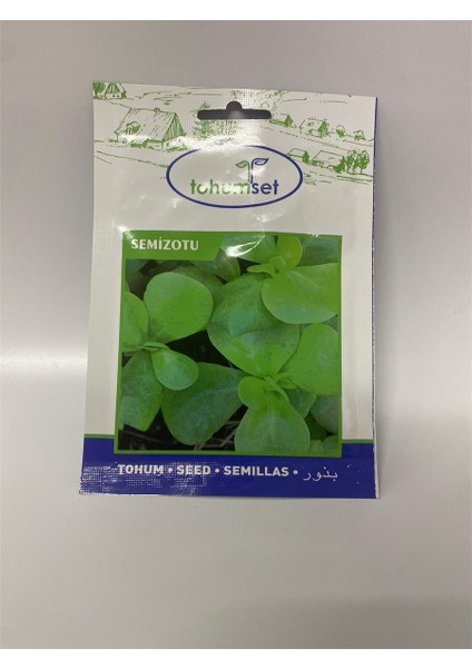 Semizotu Tohumu 10 Gr