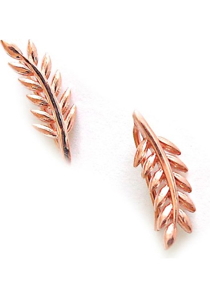 925 Ayar Gümüş Küpe SKU0352 fiyatları