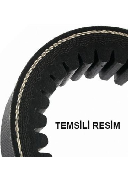 17X0950 17X0950 V Kayışı Tırtıllı 17×0950LI Tırtıklı