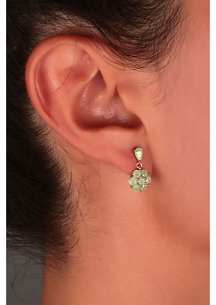 925 Ayar Gümüş Trend Küpe SKU2039 fiyatları