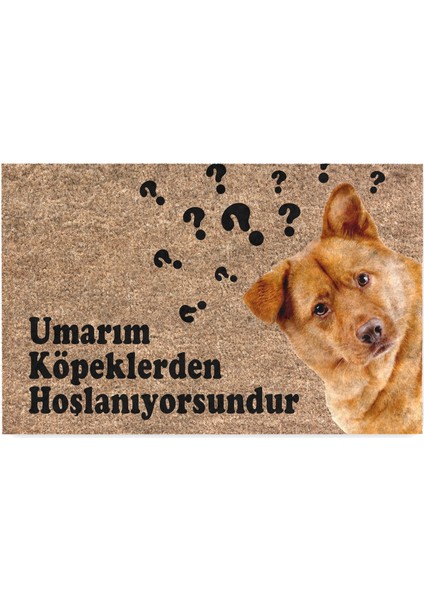 Kedi Köpek Komik Tasarımlı Dekoratif Kapı Önü Paspas, Dış Mekan/ev Içi/banyo/mutfak/yatak Odası/giriş Paspasları