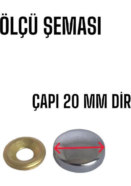 10 Adet Vida Kapatıcı Kapağı 20 mm Metal Vida Tapası Tıpası Dekoratif Vida Gizleyici Krom