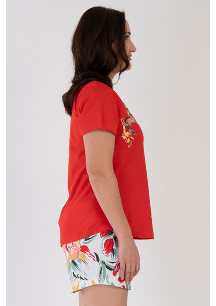 Pamuklu Kadın Büyük Beden Kısa Kol Şortlu Pijama Takım